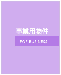 ���Ɨp����